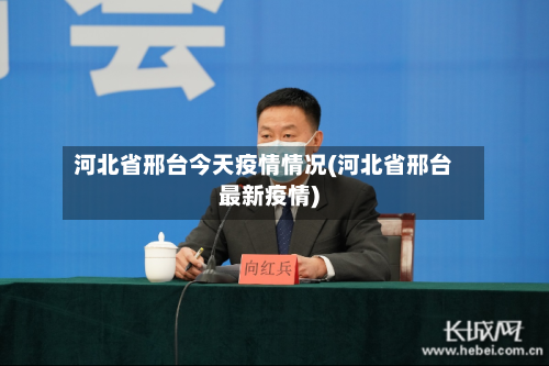 河北省邢台今天疫情情况(河北省邢台最新疫情)-第2张图片