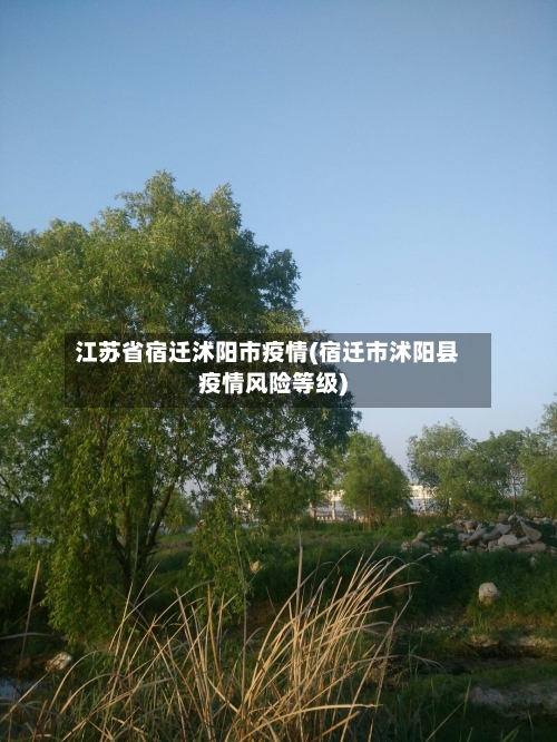 江苏省宿迁沭阳市疫情(宿迁市沭阳县疫情风险等级)-第2张图片