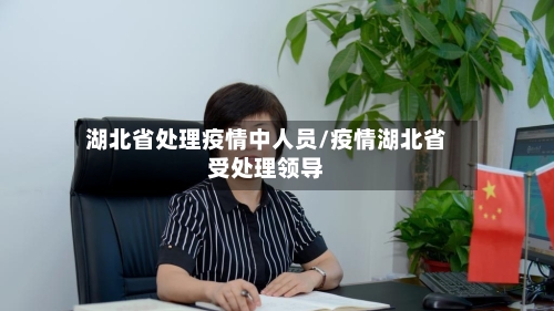 湖北省处理疫情中人员/疫情湖北省受处理领导-第3张图片
