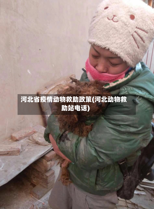 河北省疫情动物救助政策(河北动物救助站电话)-第1张图片