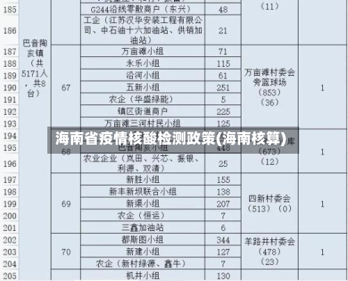 海南省疫情核酸检测政策(海南核算)-第2张图片