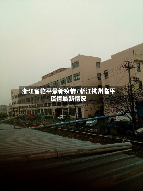 浙江省临平最新疫情/浙江杭州临平疫情最新情况-第2张图片
