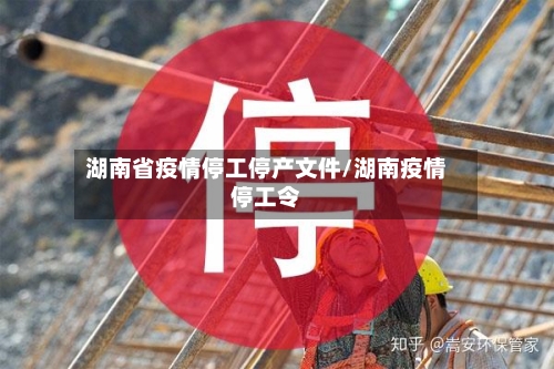 湖南省疫情停工停产文件/湖南疫情停工令-第1张图片
