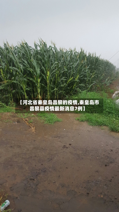 【河北省秦皇岛昌黎的疫情,秦皇岛市昌黎县疫情最新消息7例】-第1张图片