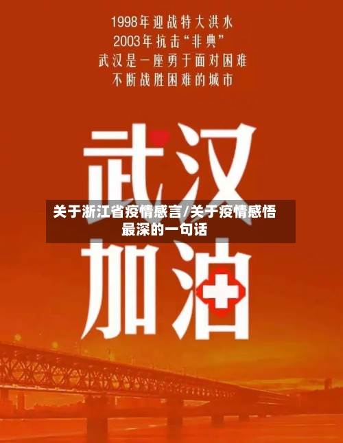 关于浙江省疫情感言/关于疫情感悟最深的一句话-第2张图片