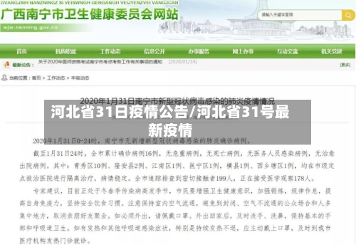 河北省31日疫情公告/河北省31号最新疫情-第3张图片