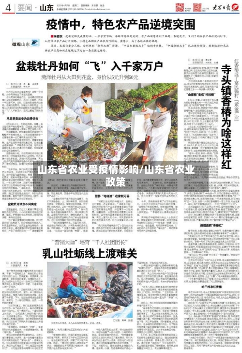 山东省农业受疫情影响/山东省农业政策-第3张图片