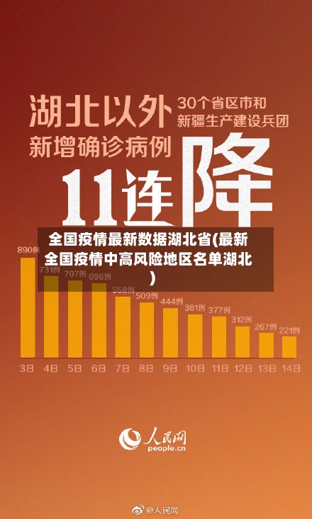 全国疫情最新数据湖北省(最新全国疫情中高风险地区名单湖北)-第1张图片