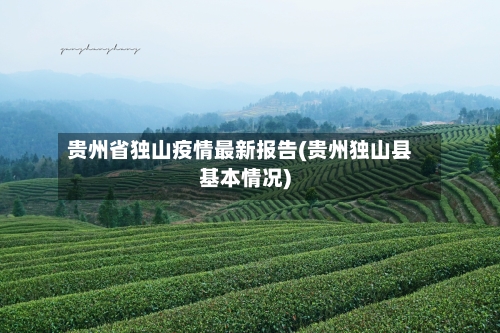 贵州省独山疫情最新报告(贵州独山县基本情况)-第1张图片