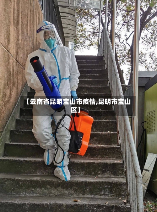 【云南省昆明宝山市疫情,昆明市宝山区】-第3张图片
