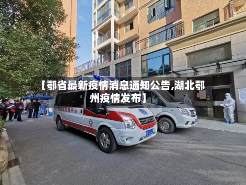 【鄂省最新疫情消息通知公告,湖北鄂州疫情发布】-第3张图片