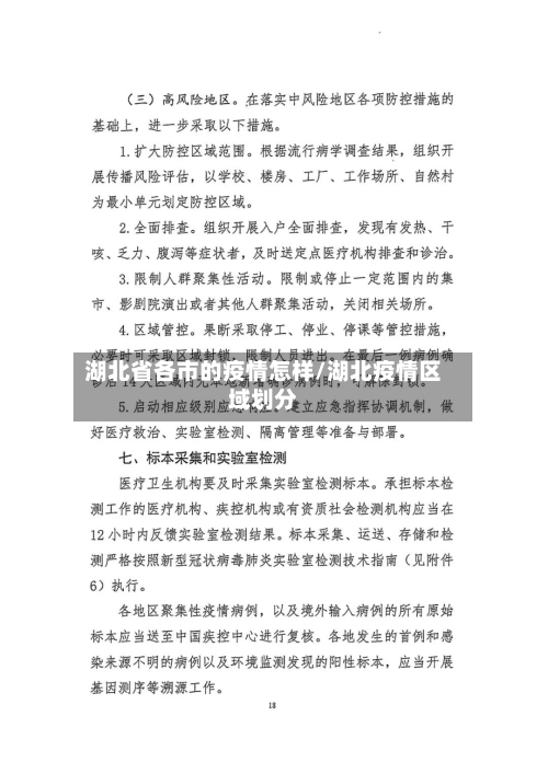 湖北省各市的疫情怎样/湖北疫情区域划分-第2张图片