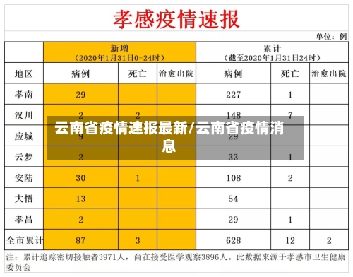 云南省疫情速报最新/云南省疫情消息-第2张图片