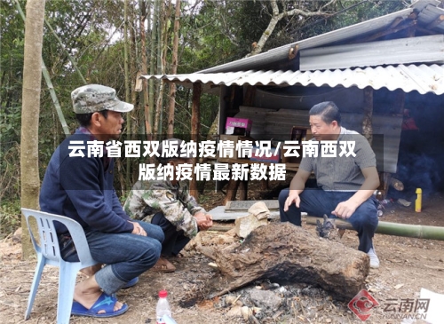 云南省西双版纳疫情情况/云南西双版纳疫情最新数据-第2张图片