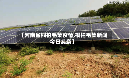 【河南省桐柏毛集疫情,桐柏毛集新闻今日头条】-第1张图片