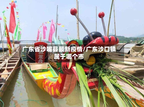 广东省沙嘴县最新疫情/广东沙口镇属于哪个市-第2张图片