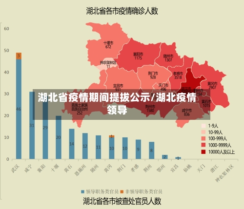 湖北省疫情期间提拔公示/湖北疫情领导-第2张图片