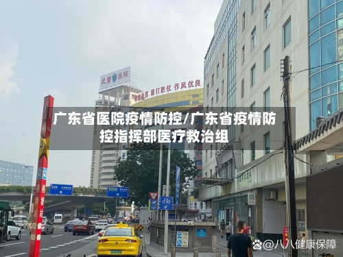 广东省医院疫情防控/广东省疫情防控指挥部医疗救治组-第1张图片