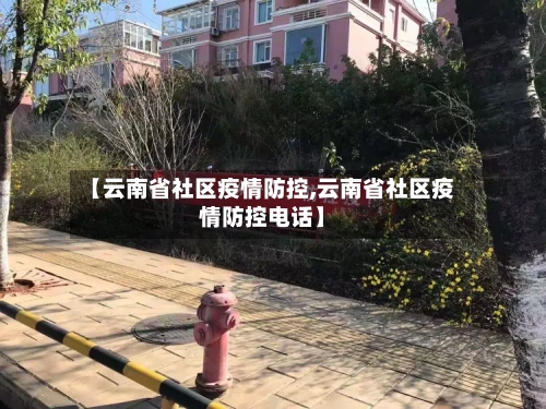 【云南省社区疫情防控,云南省社区疫情防控电话】-第1张图片
