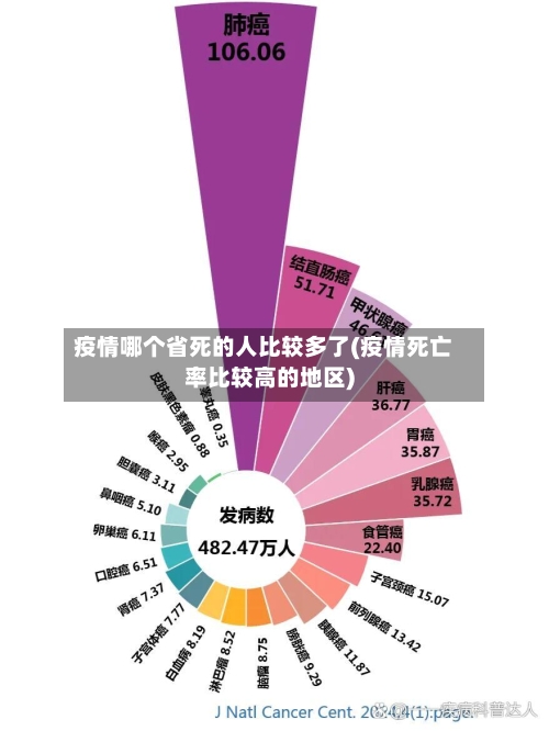 疫情哪个省死的人比较多了(疫情死亡率比较高的地区)-第3张图片