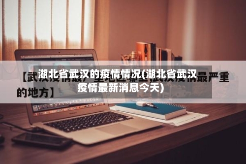 湖北省武汉的疫情情况(湖北省武汉疫情最新消息今天)-第3张图片