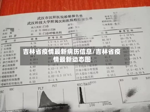 吉林省疫情最新病历信息/吉林省疫情最新动态图-第3张图片