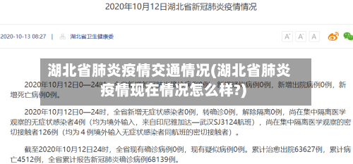湖北省肺炎疫情交通情况(湖北省肺炎疫情现在情况怎么样?)-第2张图片