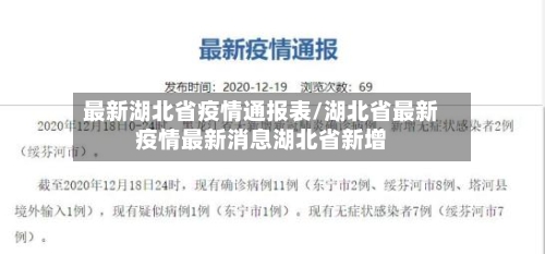 最新湖北省疫情通报表/湖北省最新疫情最新消息湖北省新增-第2张图片