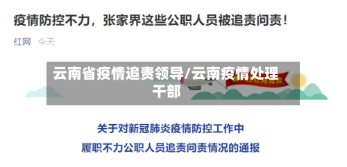 云南省疫情追责领导/云南疫情处理干部-第3张图片