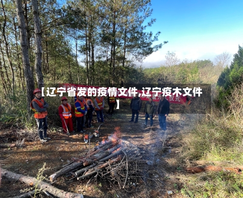 【辽宁省发的疫情文件,辽宁疫木文件】-第1张图片