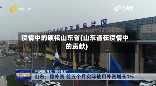 疫情中的硬核山东省(山东省在疫情中的贡献)-第1张图片