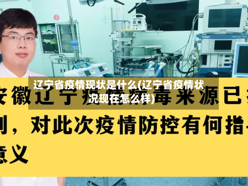 辽宁省疫情现状是什么(辽宁省疫情状况现在怎么样)-第3张图片