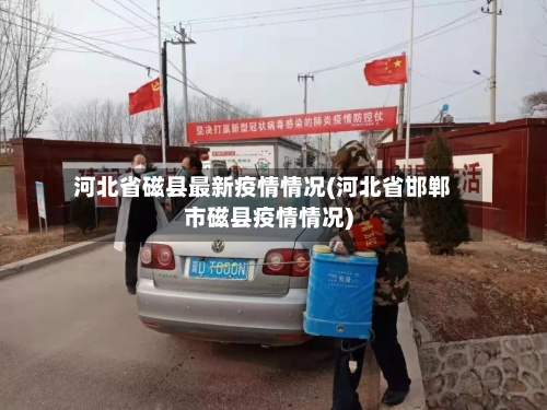 河北省磁县最新疫情情况(河北省邯郸市磁县疫情情况)-第1张图片