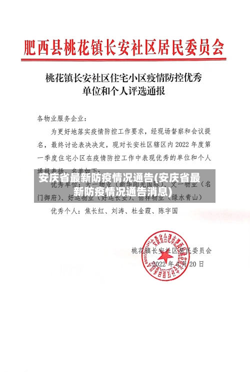 安庆省最新防疫情况通告(安庆省最新防疫情况通告消息)-第2张图片