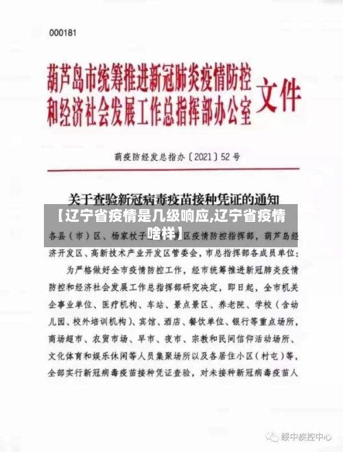 【辽宁省疫情是几级响应,辽宁省疫情啥样】-第2张图片