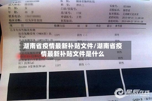 湖南省疫情最新补贴文件/湖南省疫情最新补贴文件是什么-第3张图片