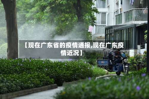 【现在广东省的疫情通报,现在广东疫情近况】-第1张图片
