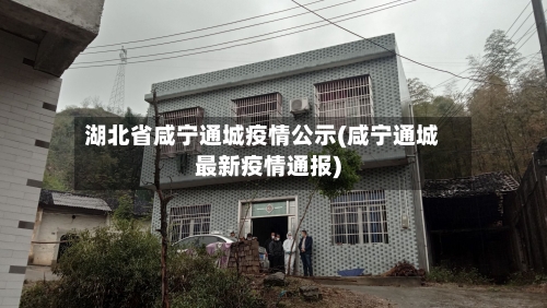 湖北省咸宁通城疫情公示(咸宁通城最新疫情通报)-第2张图片