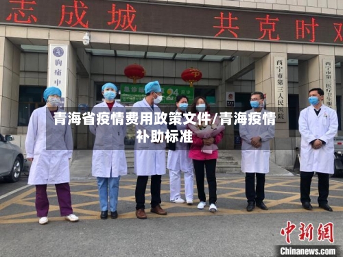 青海省疫情费用政策文件/青海疫情补助标准-第1张图片