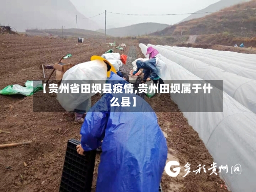 【贵州省田坝县疫情,贵州田坝属于什么县】-第2张图片