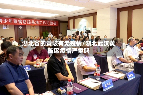 湖北省的黄陂有无疫情/湖北武汉黄陂区疫情严重吗-第3张图片