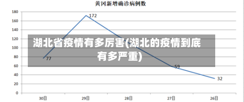湖北省疫情有多厉害(湖北的疫情到底有多严重)-第2张图片