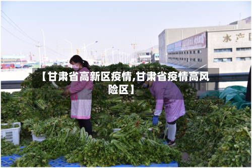 【甘肃省高新区疫情,甘肃省疫情高风险区】-第1张图片