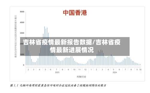 吉林省疫情最新报告数据/吉林省疫情最新进展情况-第3张图片