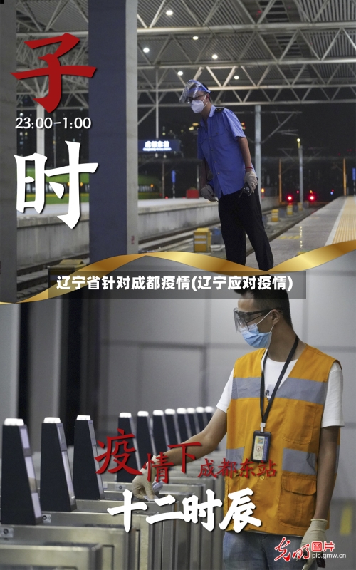 辽宁省针对成都疫情(辽宁应对疫情)-第3张图片