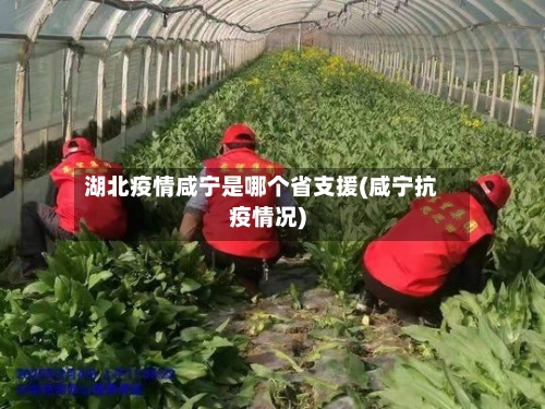 湖北疫情咸宁是哪个省支援(咸宁抗疫情况)-第1张图片