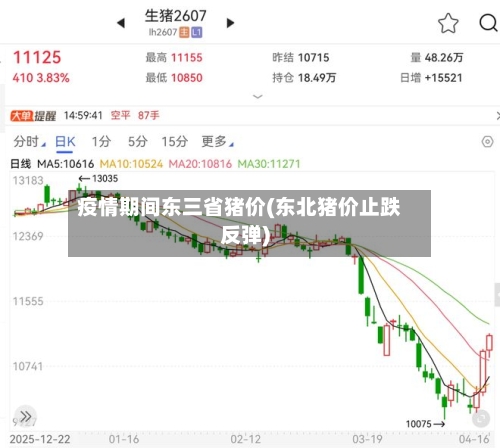 疫情期间东三省猪价(东北猪价止跌反弹)-第1张图片