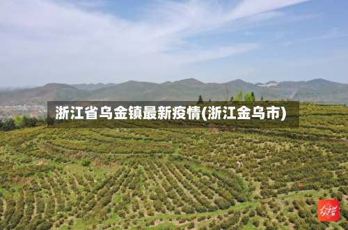 浙江省乌金镇最新疫情(浙江金乌市)-第2张图片