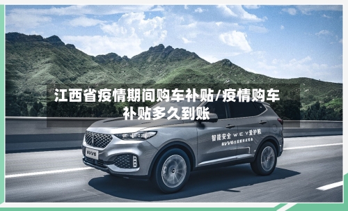 江西省疫情期间购车补贴/疫情购车补贴多久到账-第1张图片