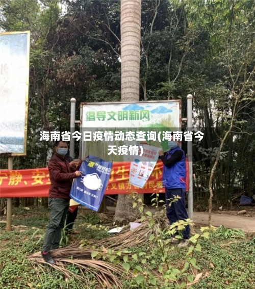 海南省今日疫情动态查询(海南省今天疫情)-第1张图片